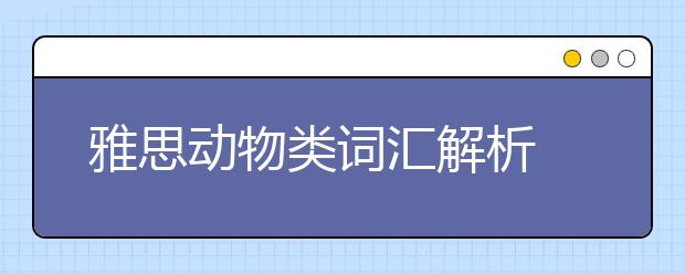 雅思动物类词汇解析