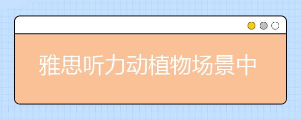 雅思听力动植物场景中的规律总结