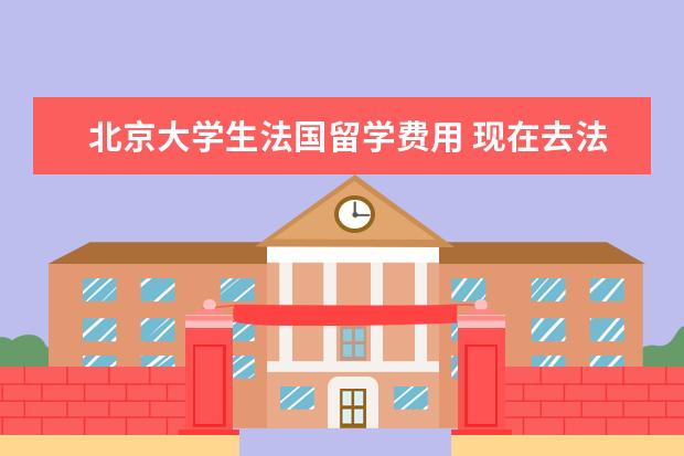 北京大学生法国留学费用 现在去法国留学的中介费,大概有多少