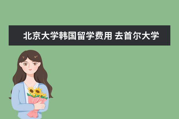 北京大学韩国留学费用 去首尔大学留学需要什么条件